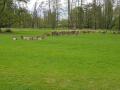gal/2019/09 Cyklo Blatna/_thb_20190503_145159.jpg